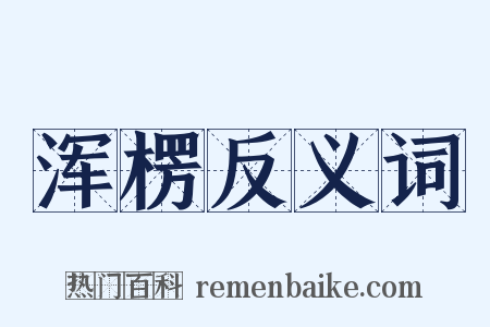浑楞反义词是什么意思的图片